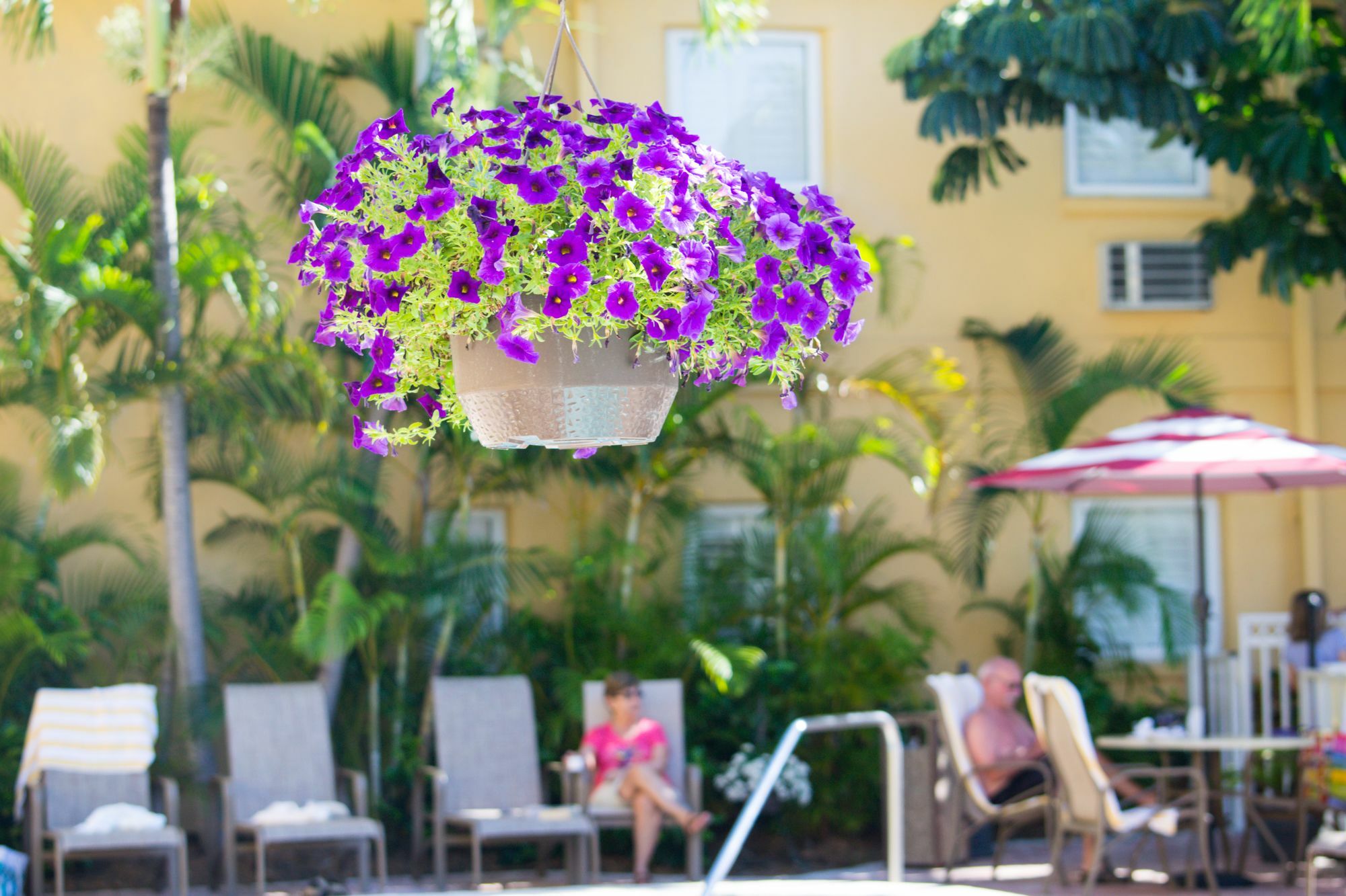 Inn At The Beach-Venice Florida Zewnętrze zdjęcie